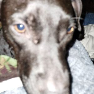 Meet your Posher, Paul